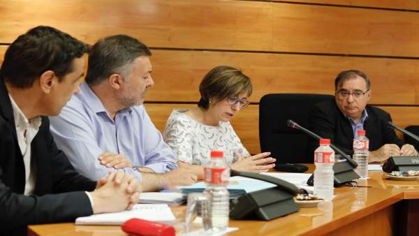 Comisión en las Cortes Comisión en las Cortes