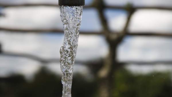 Grifo de agua Grifo de agua