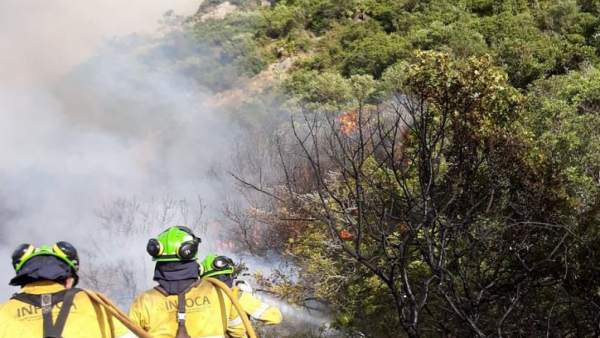 Incendio forestal en Casares (Málaga) Incendio forestal en Casares (Málaga)