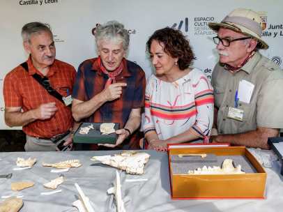 José María Bermúdez de Castro (i), Juan Luis Arsuaga (2i), Eudald Cabonell (2d) y la consejera de cultura y turismo de la Junta de Castilla y León, María Josefa Cirac (1d), presentan el balance de la campaña de excavaciones de Atapuerca 2018.