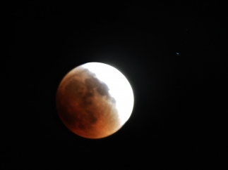 Eclipse lunar