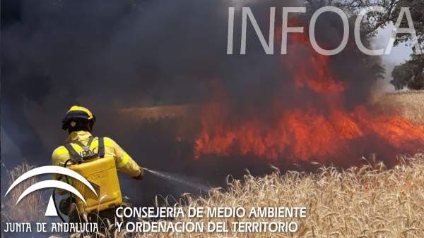 Un bombero del Infoca ataca las llamas en un campo de cereales Un bombero del Infoca ataca las llamas en un campo de cereales