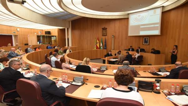 Pleno de la Diputación de Granada Pleno de la Diputación de Granada