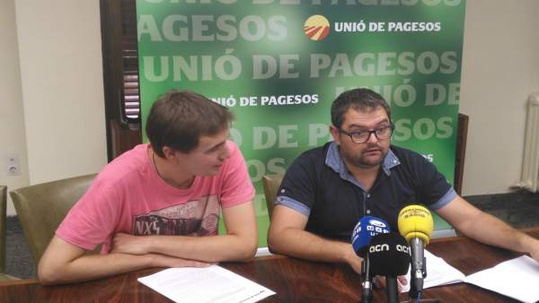 Bernat Ramon y Francesc Pena, miembros de la sectorial de la fruta Bernat Ramon y Francesc Pena, miembros de la sectorial de la fruta