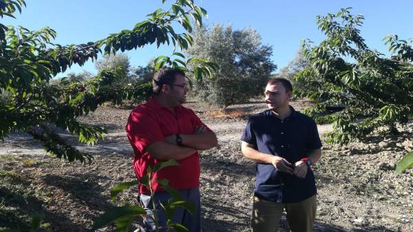 Jóvenes se incorporan a la actividad agraria con apoyo de la Junta Jóvenes se incorporan a la actividad agraria con apoyo de la Junta