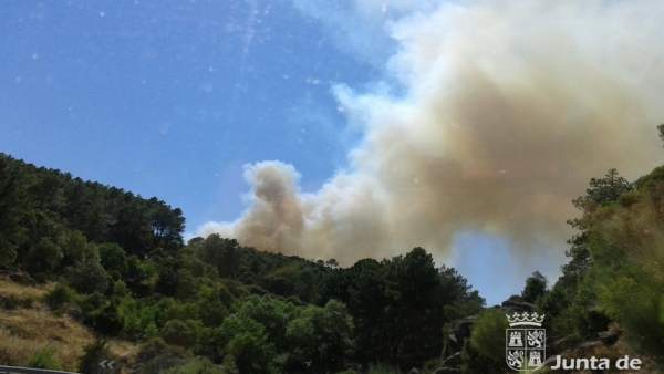 Incendio que afecta a la zona de Navaluenga (Ávila) Incendio que afecta a la zona de Navaluenga (Ávila)