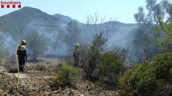 Dos bomberos trabajando en la extinción del incendio de Tivissa Dos bomberos trabajando en la extinción del incendio de Tivissa