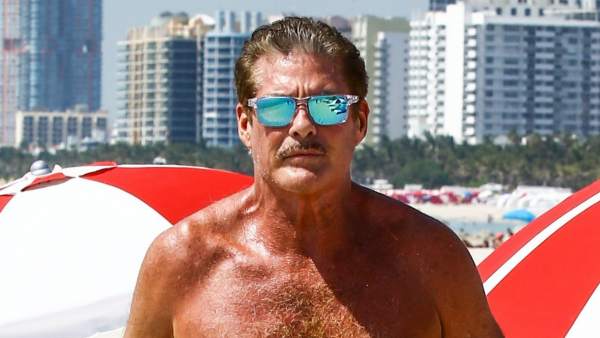 David Hasselhoff David Hasselhoff