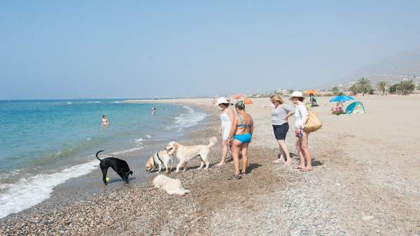 PLAYA CANINA PLAYA CANINA