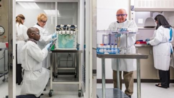 Bioingeniería de los pulmones Bioingeniería de los pulmones