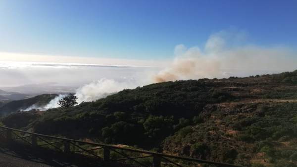 Fuego en la zona de La Pasadilla y Cazadores Fuego en la zona de La Pasadilla y Cazadores