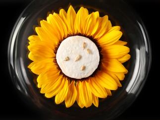 Pipas girasol heladas inicio menu degustacion restaurante torres