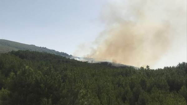 Imagen del Incendio en Pinofranqueado Imagen del Incendio en Pinofranqueado