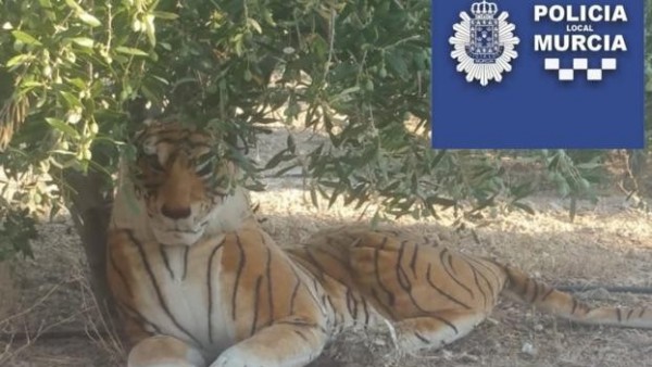 El tigre a la sombra El tigre a la sombra