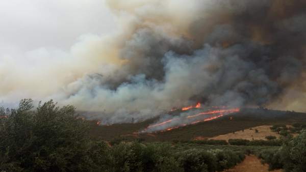 Llamas y humo en el incendio de San Vicente de Alcántara Llamas y humo en el incendio de San Vicente de Alcántara