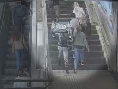 Cae una banda de carteristas que acumulaba más de 500 denuncias