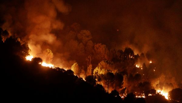 Un incendio más en Huelva Un incendio más en Huelva