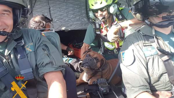 Imagen del rescate con la mascota en el helicóptero Imagen del rescate con la mascota en el helicóptero