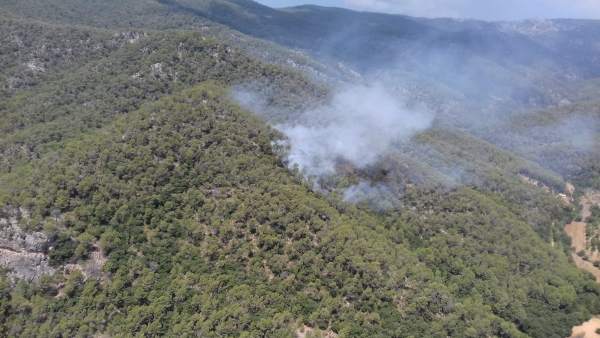 Incendio en Coanegra Incendio en Coanegra