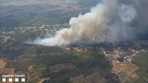 Incendio forestal en Cabra del Camp (Tarragona) Incendio forestal en Cabra del Camp (Tarragona)