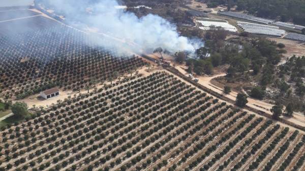 Incendio controlado por el Infoca en Moguer (Huelva). Incendio controlado por el Infoca en Moguer (Huelva).