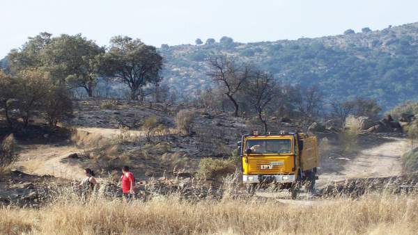 Restos de un incendio forestal, en una imagen de archivo Restos de un incendio forestal, en una imagen de archivo
