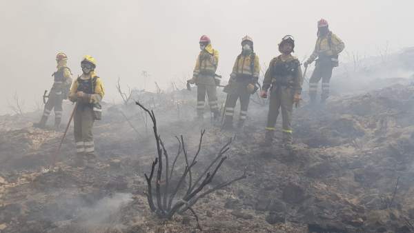 Imagen de los efectivos murcianos desplegados en el incendio de Llutxent Imagen de los efectivos murcianos desplegados en el incendio de Llutxent