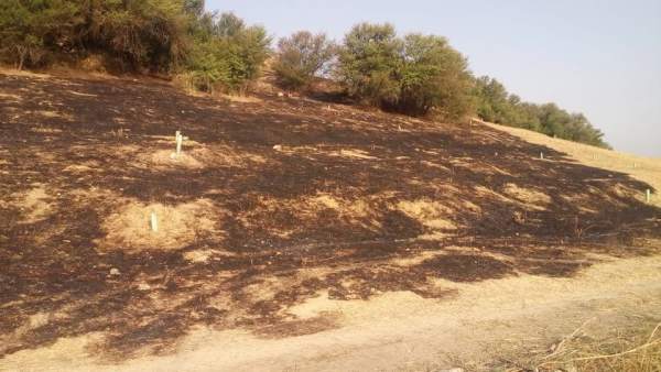Nuevo incendio en el Carmabolo Nuevo incendio en el Carmabolo