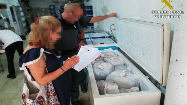 Agentes durante la inspección Agentes durante la inspección