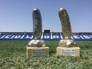 El trofeo pepinero