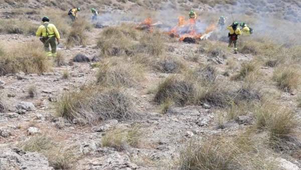 Tareas de control de un conato de incendio forestal Tareas de control de un conato de incendio forestal