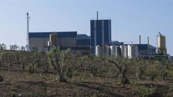 Planta de Render Grasas Planta de Render Grasas