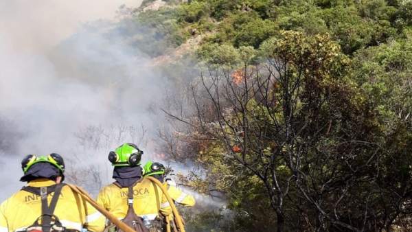 Bombero trabaja en incendio forestal en casares málaga infoca Bombero trabaja en incendio forestal en casares málaga infoca