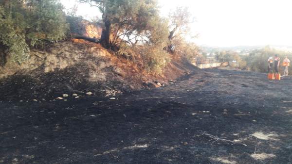 Terreno afectado por el incendio en Alhendín Terreno afectado por el incendio en Alhendín