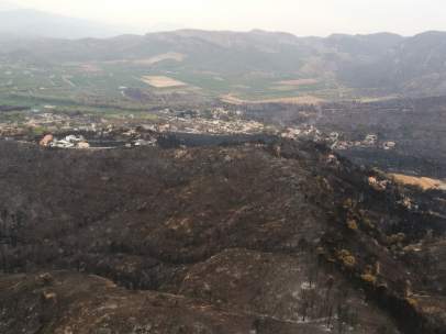 Zona quemada incendio Llutxent