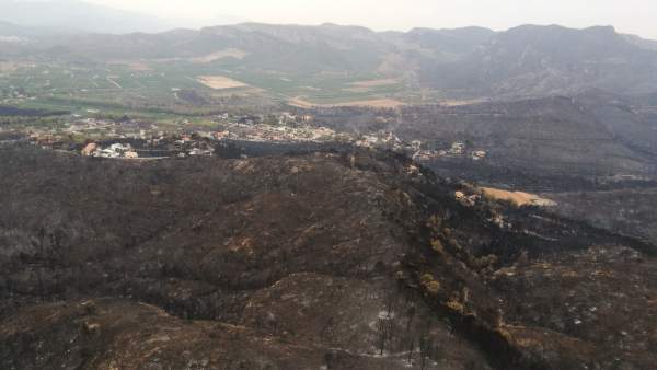 Zona quemada incendio Llutxent Zona quemada incendio Llutxent