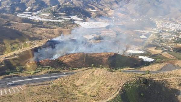 Incendio forestal Incendio forestal
