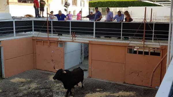 Resultado de imagen de Desestima la recusación en la Malagueta