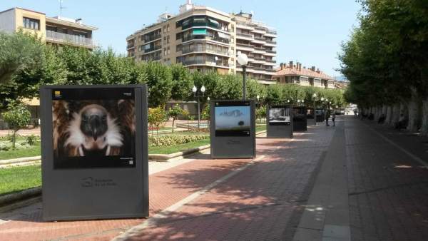 Exposición Haro sobre fotografías naturaleza Exposición Haro sobre fotografías naturaleza
