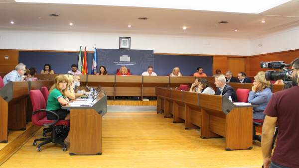 Pleno del Ayuntamiento Pleno del Ayuntamiento