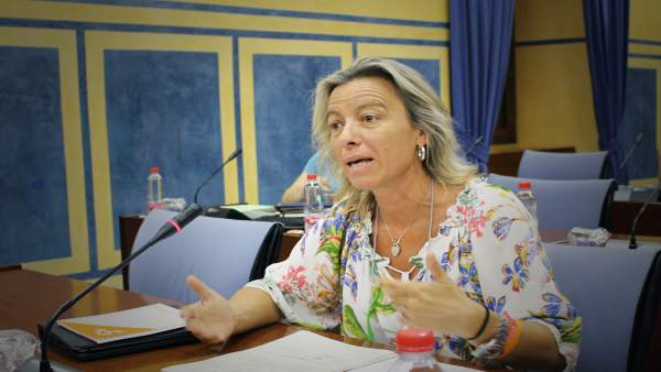 Isabel Albás en el Parlamento andaluz Isabel Albás en el Parlamento andaluz
