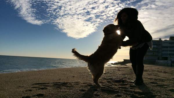 Mujer con un perro en la playa Mujer con un perro en la playa