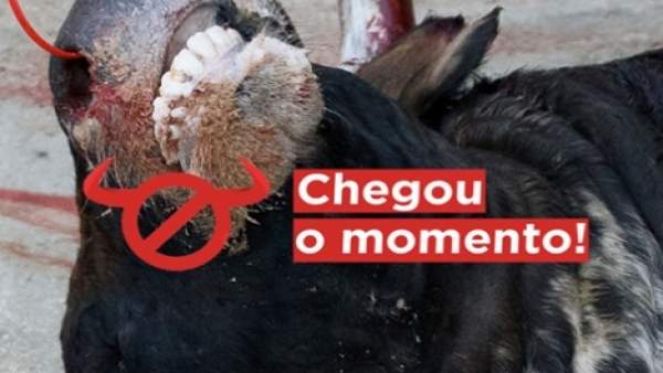 Cartel de la campaña '#ChegouOMomento' contra la tauromaquia. Cartel de la campaña '#ChegouOMomento' contra la tauromaquia.