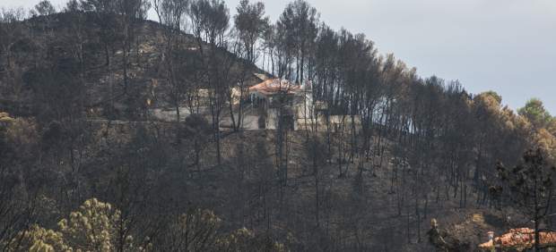 Incendio de Llutxent