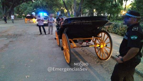 Cochero denunciado por la Policía Local de Sevilla. Cochero denunciado por la Policía Local de Sevilla.