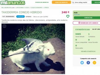 Conejo híbrido