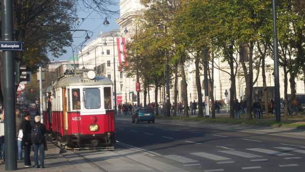 Viena Viena