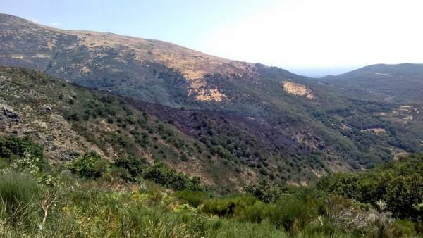 Aspecto del incendio en Garganta la Olla que evoluciona favorablemente