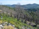 Montes Vecinales en Mano Común de Rebordelo