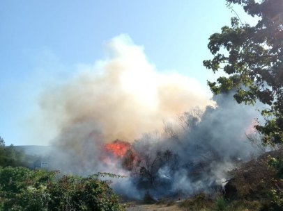 Incendio forestal.